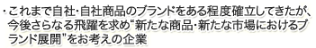 新たな商品・新たな市場におけるブランド展開